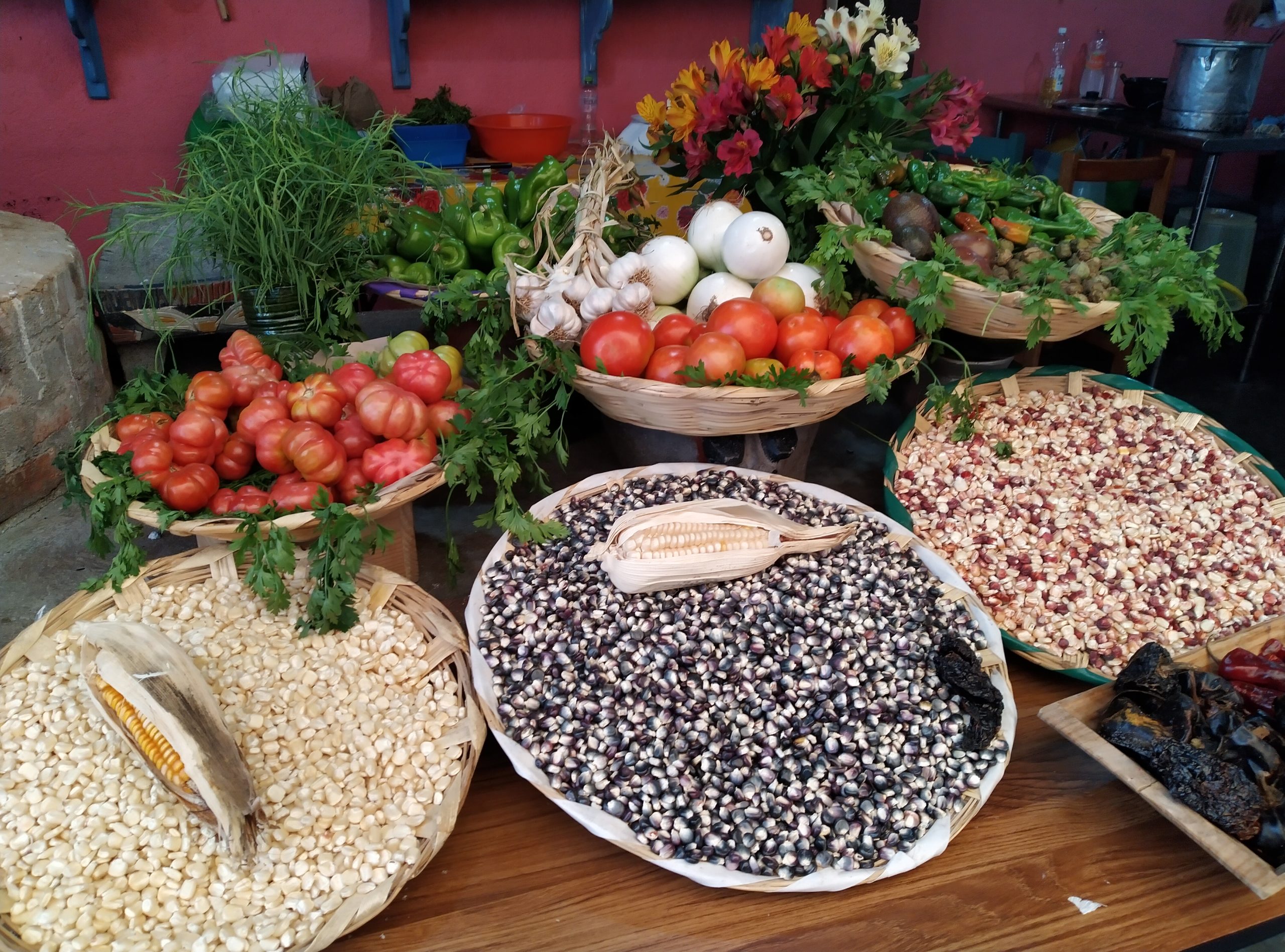 A photograph of a colourful display of seeds, veg, herbs and flowers in bowls.